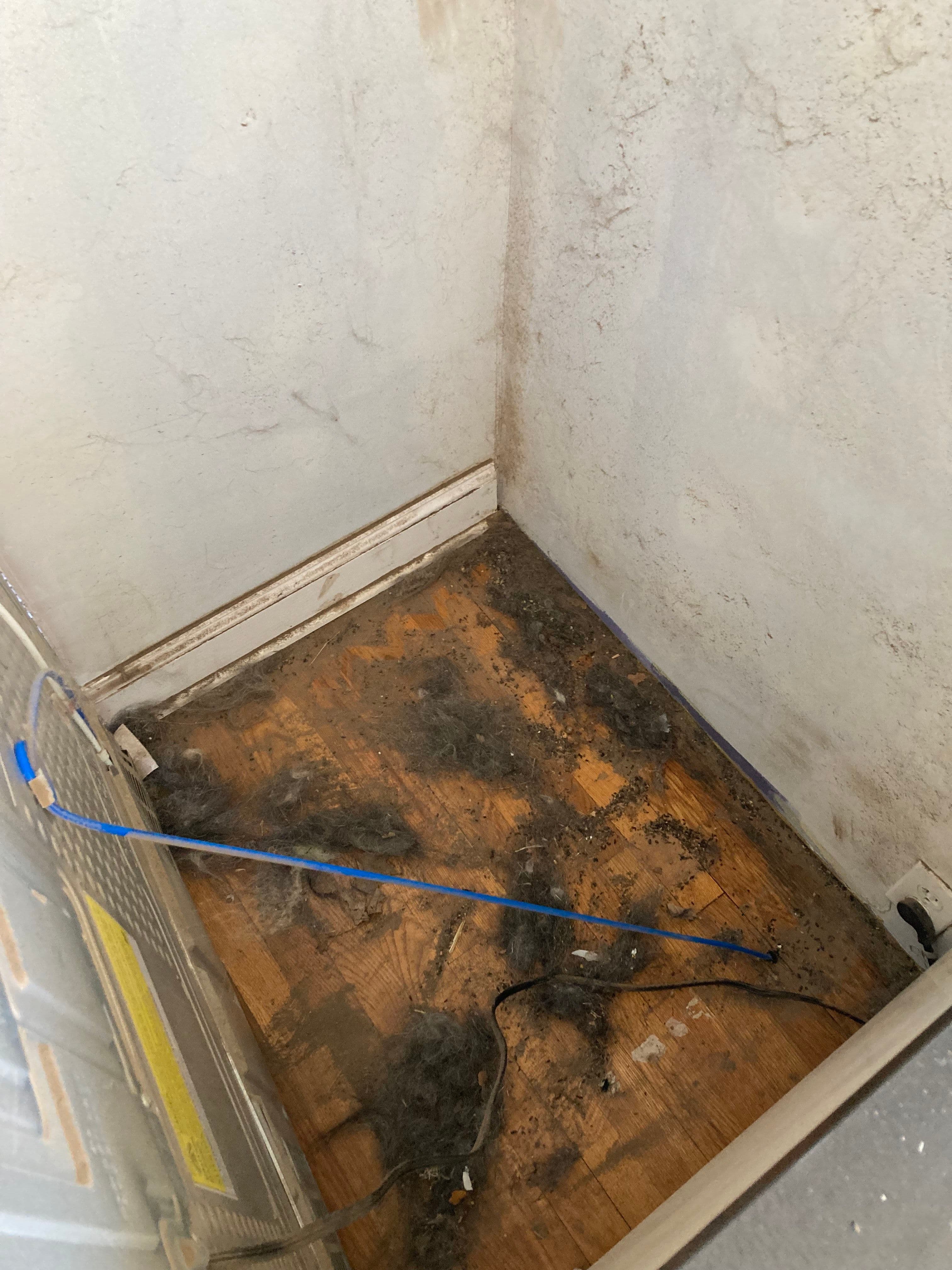 Dirty corner of a room with accumulated dust and debris on the wooden floor.