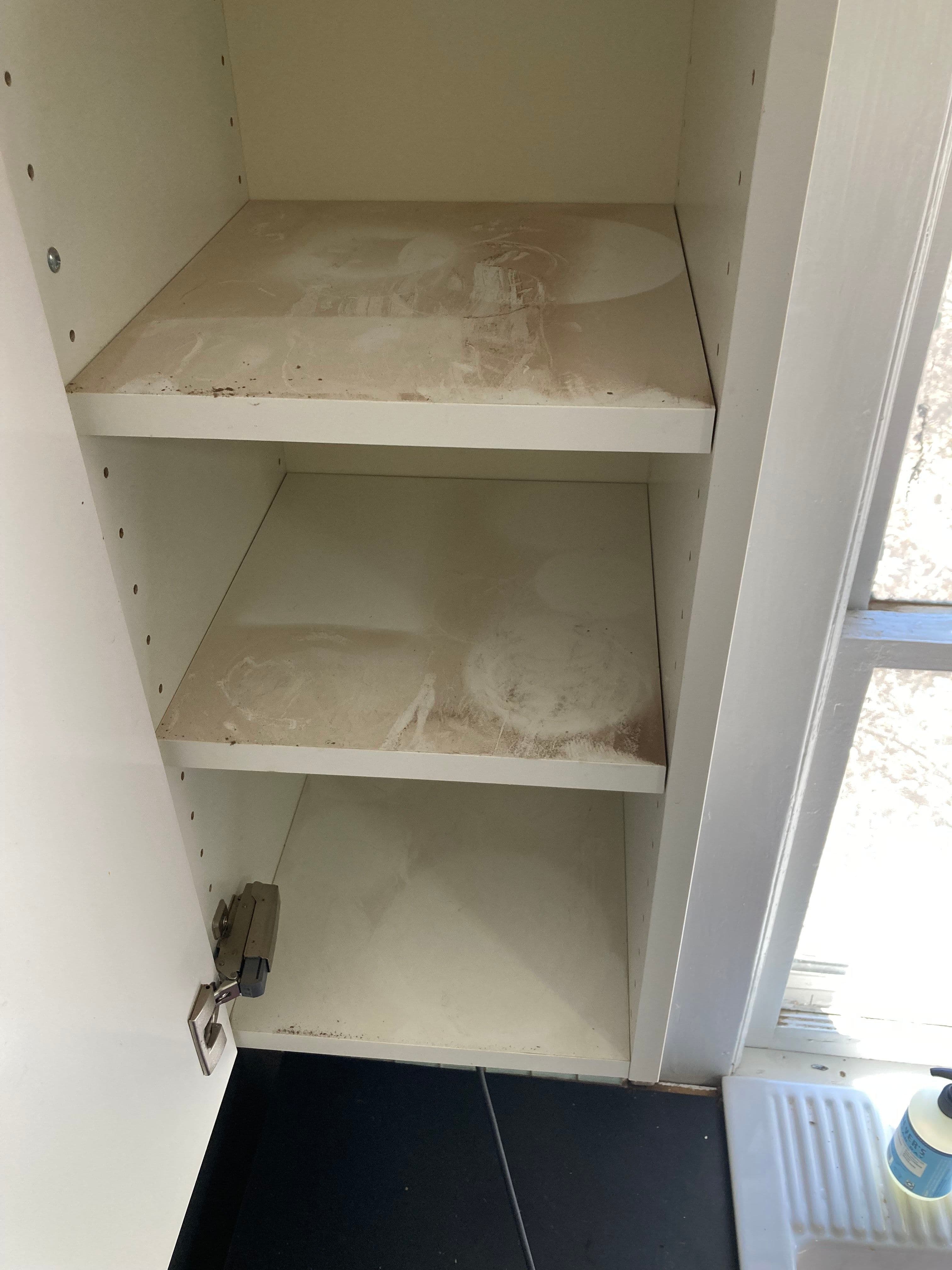 Empty kitchen cabinet with dusty shelves, featuring a light-colored interior and a partially open door.